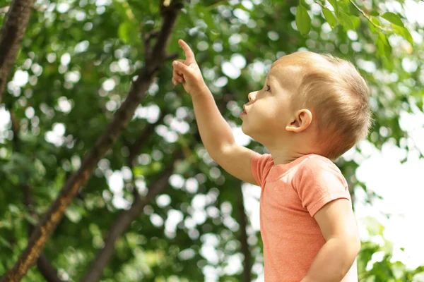 Zomer, vakantie, jeugd, communicatie concepten. Gelukkige kleine verbaasde jongen zittend op een stomp. De bezorgde jongen wijst met zijn vinger naar iets. kind zit in de tuin bij mooi zomerweer — Stockfoto