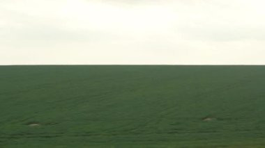 Ulaşım, seyahat, karayolu, demiryolu, manzara, çiftleşme, tarım konsepti - bulutlu yaz akşamında güzel doğa yeşil tarla ve ormanın manzarası üzerindeki hız treninin penceresinden manzara