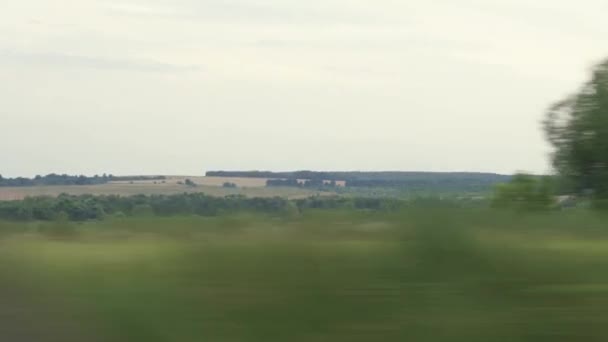 Transporte, viagem, estrada, ferrovia, paisagem, conceito de comnicação - vista da janela do trem de velocidade na paisagem do campo de trigo amarelo, pólos elétricos e floresta em tempo nublado maçante noite de verão — Vídeo de Stock