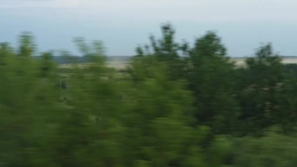 交通概念 夏夜阴天黄麦田 电线杆 森林景观中的快速列车窗口景观 — 图库视频影像