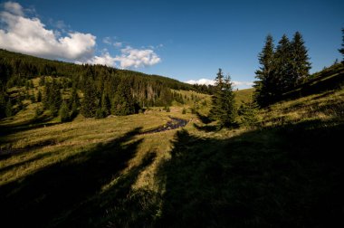 Izvoare 'deki güzel sonbahar manzarası, Maramures