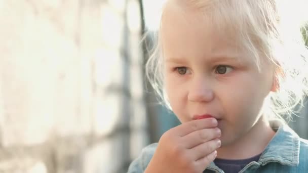 Liten flicka äter färska mogna hallon i trädgården och ler utomhus — Stockvideo