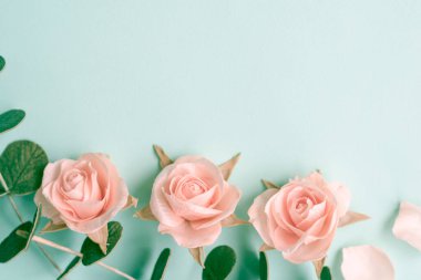 Açık yeşil arka planda krema gülleri, gül yaprakları ve okaliptüs. Uzayı kopyala Düz yatıyordu. Doğa konsepti. Metnin için en üstte boşluk var. Kartlar, duyurular ve çiçekli düğün davetiyeleri.