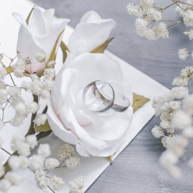 Çiğneme dalları, narin beyaz güller ve davetiye için beyaz altın alyanslar. Gri arkaplandaki yazıtlar için beyaz sayfa, kopyalanmış boşluk