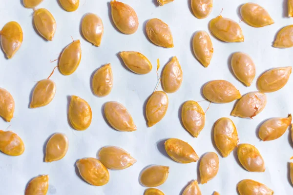 On a white background spread out pumpkin seeds an abstract picture for the background — Stock Image White Background Spread Out Pumpkin Seeds Abstract Picture Background Stock Photo