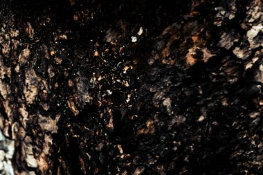 Doğal şartlarda koyu kahverengi ağaç kabuğu. koyu doğal arkaplan dokusu renk tasarımı ışık gradyanı sıçramalarıdır