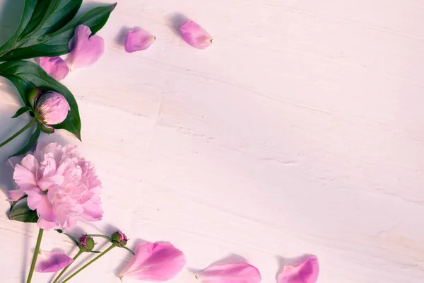Peonías delicadas de color rosa en la mesa, vista superior, lugar para una inscripción, ajuste floral en colores rosados de la boda, espacio de copia, invitación o concepto de felicitación — Foto de Stock