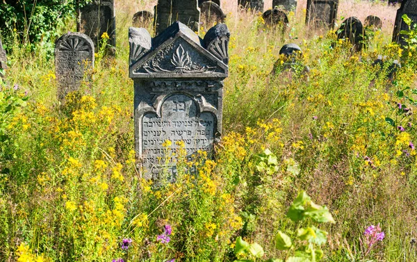 Vecchio Cimitero Ebraico Abbandonato Nelle Montagne Dei Carpazi Ucraini — Foto Stock