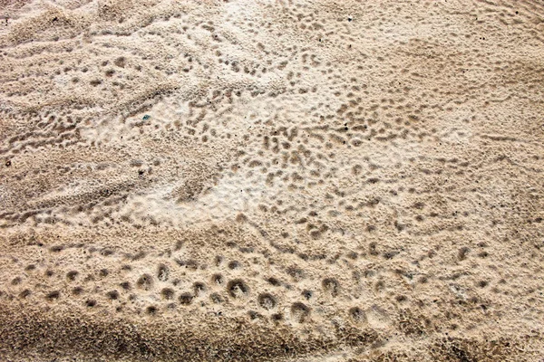 Песчаная Поверхность После Дождя Видимыми Следами Капель Дождя — стоковое фото
