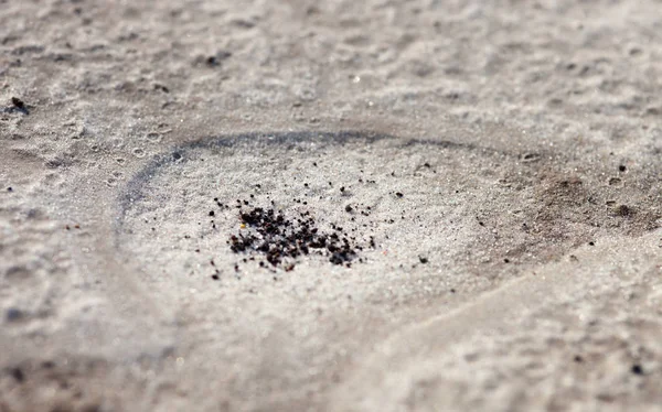 Sand Surface Rain Visible Traces Raindrops Grains Black Soil — Stock Photo, Image