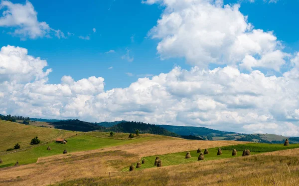 Zomer Landschap Oekraïense Karpaten — Stockfoto