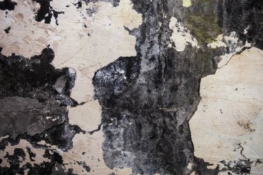 Duvar doku kırık sıva ve badana ile.