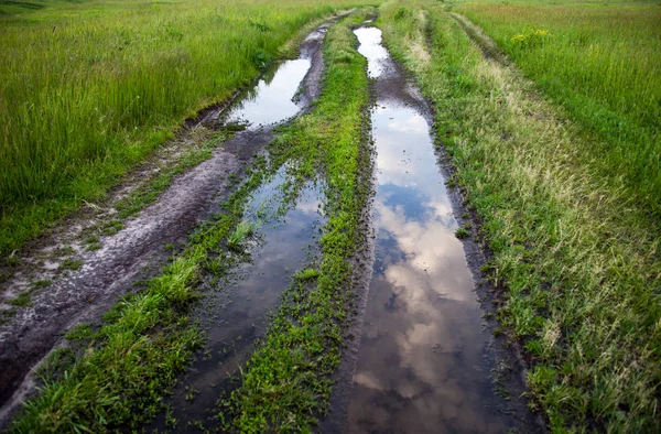 Špinavá Cesta Loužemi Zeleném Poli — Stock fotografie