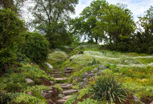 Escaliers Pierreux Dans Jardin Fleuri Vert — Photo