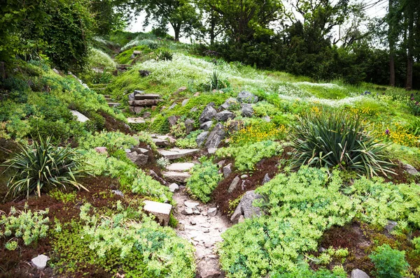 Chemin Pierreux Escaliers Dans Jardin Fleuri Vert — Photo