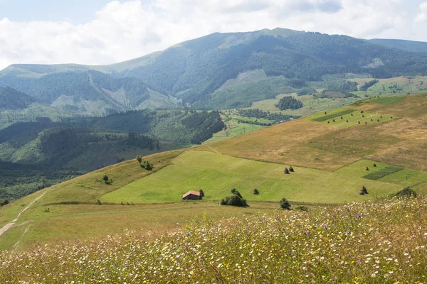 Paisaje Verano Los Cárpatos Ucranianos — Foto de Stock