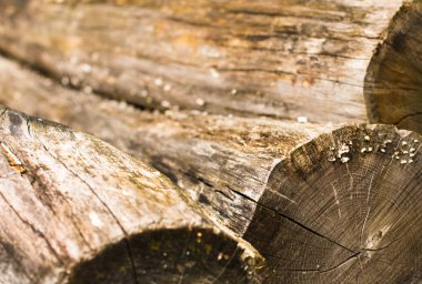 Eski soyulmuş kalın günlükleri yığını. Yakın çekim. 