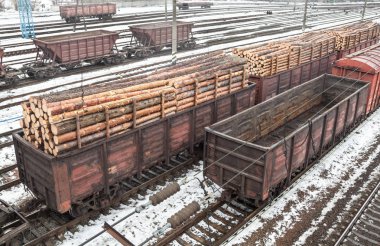 Günlükleri ve Boş vagonlar (Kiev, Ukrayna kışın demiryolu ile yük vagonları).