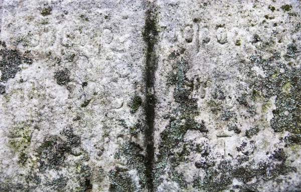 Stony Book Sculpture Old Gravestone — Stock Photo, Image