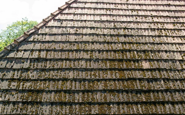 旧的变色屋顶与苔藓种植的瓷砖 — 图库照片