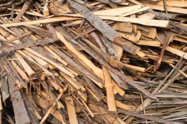 Ham plakalar iğne yapraklı ağaç yığını.