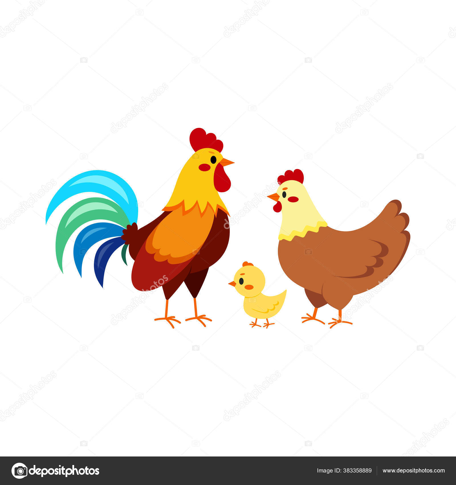 흰 배경에 암탉 과 병아리와 함께 있는 수탉 닭. 스톡 벡터 - ©Baldezh 383358889, image size:1600x1700