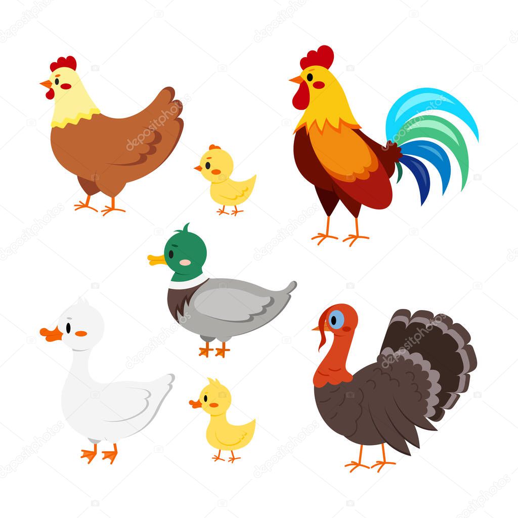 Farm birds set isolated on white background. Cute cartoon domestic bird character - turkey, duck, goose, gosling, hen, chicken, rooster. Vector flat design poultry collection illustration.