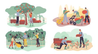 Çiftçi meyve, böğürtlen, sebze hasat seti topluyor. Bahçe tarım bahçıvanlığı sonbahar mahsulleri koleksiyonu. Çiftçilik yapan tarımcı insanları hasat etmek. Erkek kadın bahçede birlikte çalışıyor.