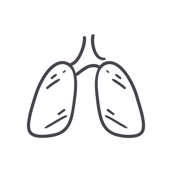 Pulmones órgano línea estilo icono vector diseño — Vector de stock