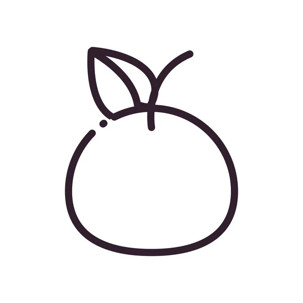 Aislado manzana fruta línea estilo icono de diseño de vectores — Archivo Imágenes Vectoriales