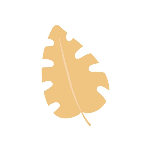 열 대 야자나무 잎 모양의 납작 한 모양 — 스톡 벡터