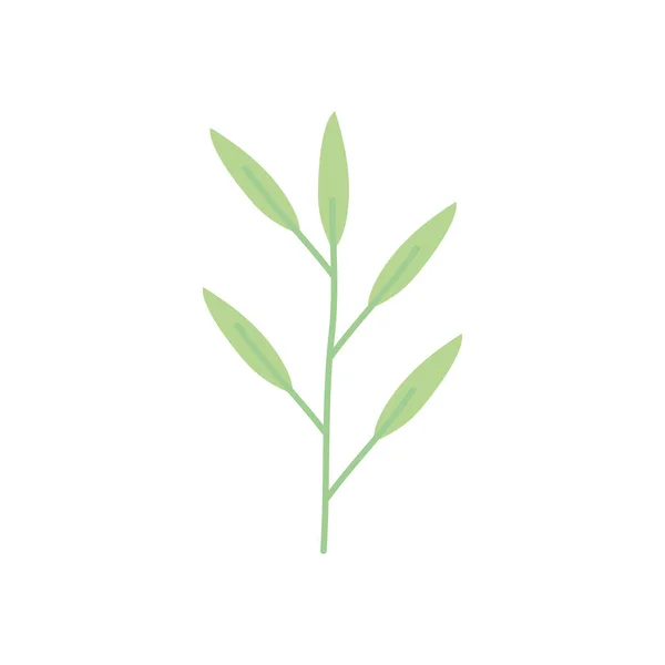 竹叶图标,扁平型 — 图库矢量图片