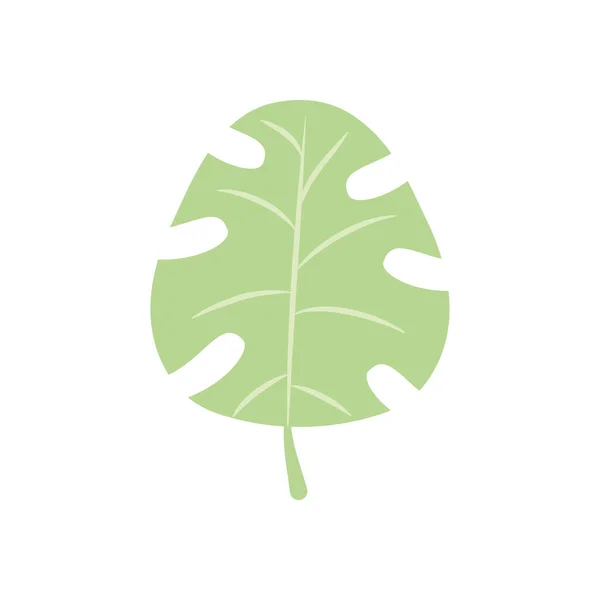 Icono de hoja tropical monstera, estilo plano — Vector de stock