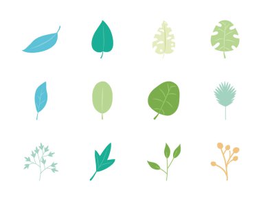 Palmiye yaprakları ve tropikal yaprak ikonu seti, düz stil