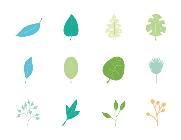 Пальмовые листья и набор иконок тропических листьев, плоский стиль — стоковый вектор