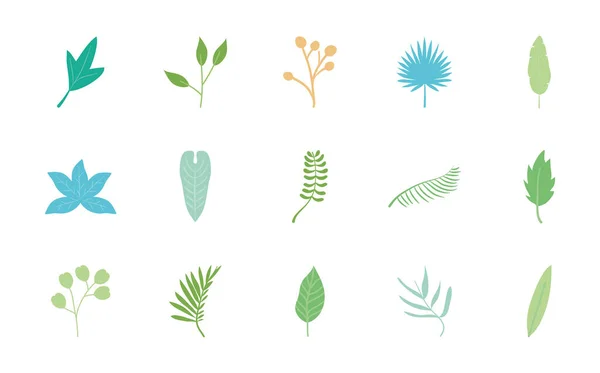 Ikon uppsättning tropiska blad och palmblad, platt stil — Stock vektor