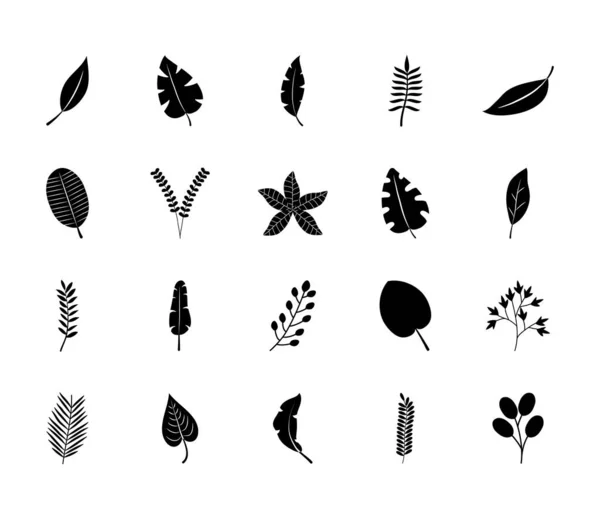 Hoja de palma y hojas tropicales icono conjunto, estilo silueta — Vector de stock