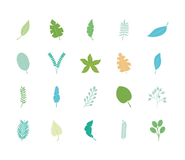 Palmblatt und tropische Blätter Icon Set, flacher Stil — Stockvektor