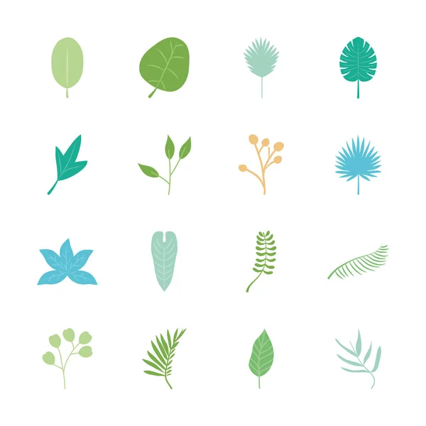 Икона набор тропических листьев и листьев монстра, плоский стиль — стоковый вектор