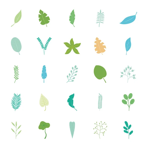 Tropische Blätter und Pflanzen Icon Set, flacher Stil — Stockvektor