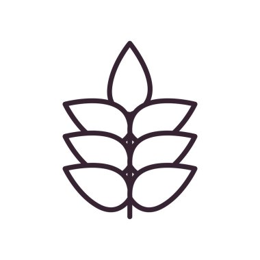 Buğday kulak çizgisi biçim vektör tasarımı