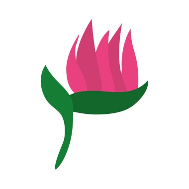 Tropikal helikonya çiçek ikonu, düz stil