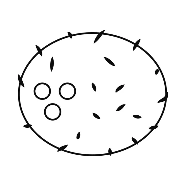 Kokosnöt ikon bild, linje stil — Stock vektor