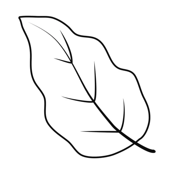 Ikona listu dissenbachia, styl čáry — Stockový vektor