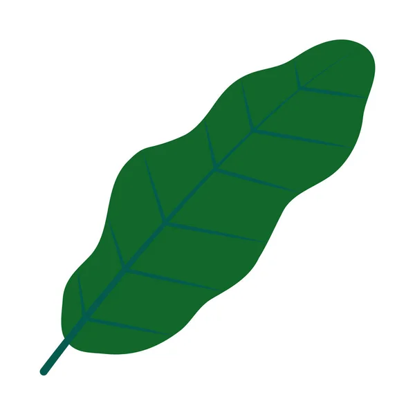 Icono de hoja de plátano, estilo plano — Vector de stock