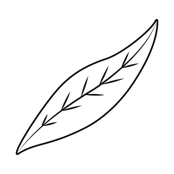 Yaprak simgesi resmi, satır biçimi — Stok Vektör
