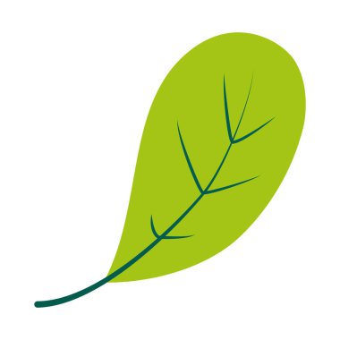 aspidistra yaprak simgesi, düz stil