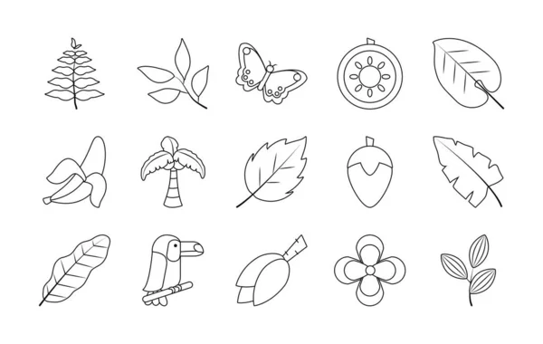 Mariposa y hojas tropicales icono conjunto, estilo de línea — Vector de stock