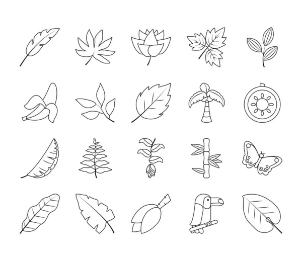Folhas tropicais e conjunto de ícones de frutas, estilo de linha — Vetor de Stock