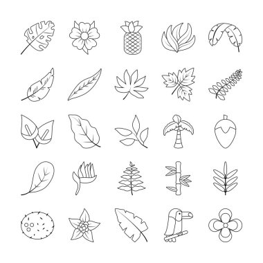 Hindistan cevizi ve tropikal yaprak simgesi seti, satır biçimi